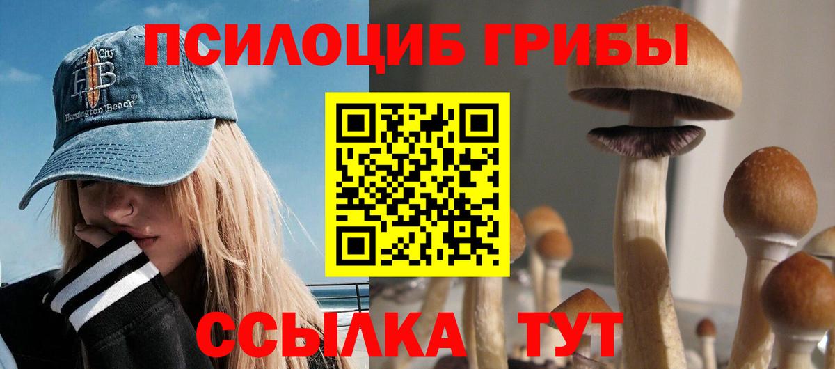 Псилоцибиновые грибы MAGIC MUSHROOMS  Псилоцибиновые грибы мухоморы  Вход с VPN  Калуга 